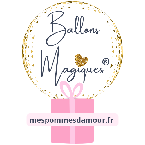 Ballon Bulle Personnalisé avec Votre Peluche/ Acc