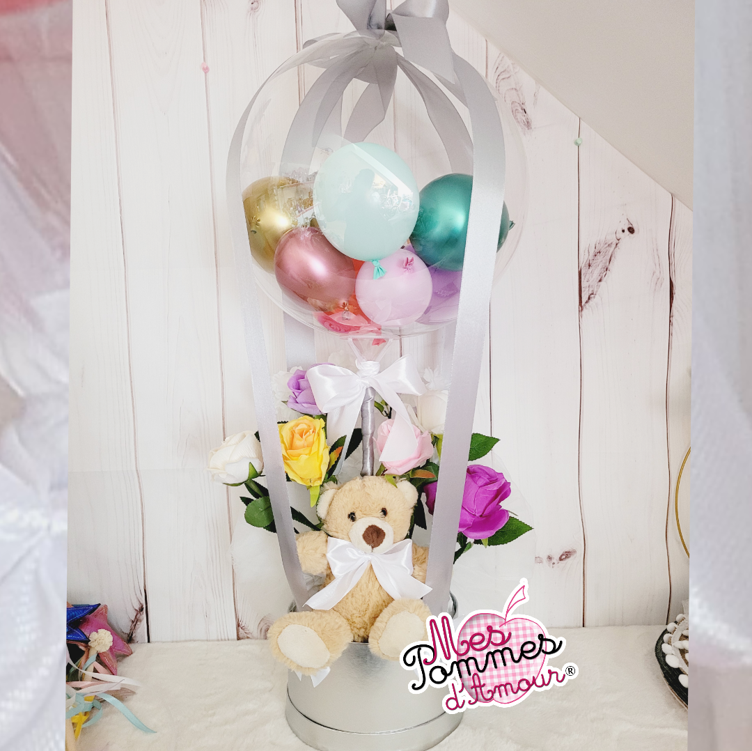 Formation ballon montgolfière en direct et à distance sur WhatsApp