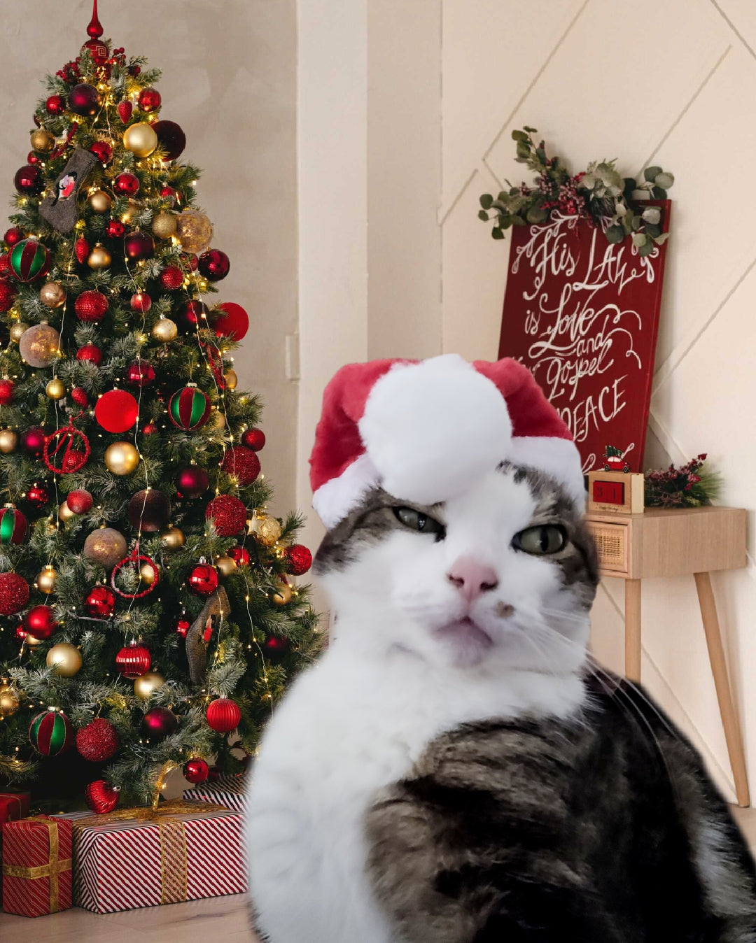 Bonnet de Noël personnalisé pour animaux