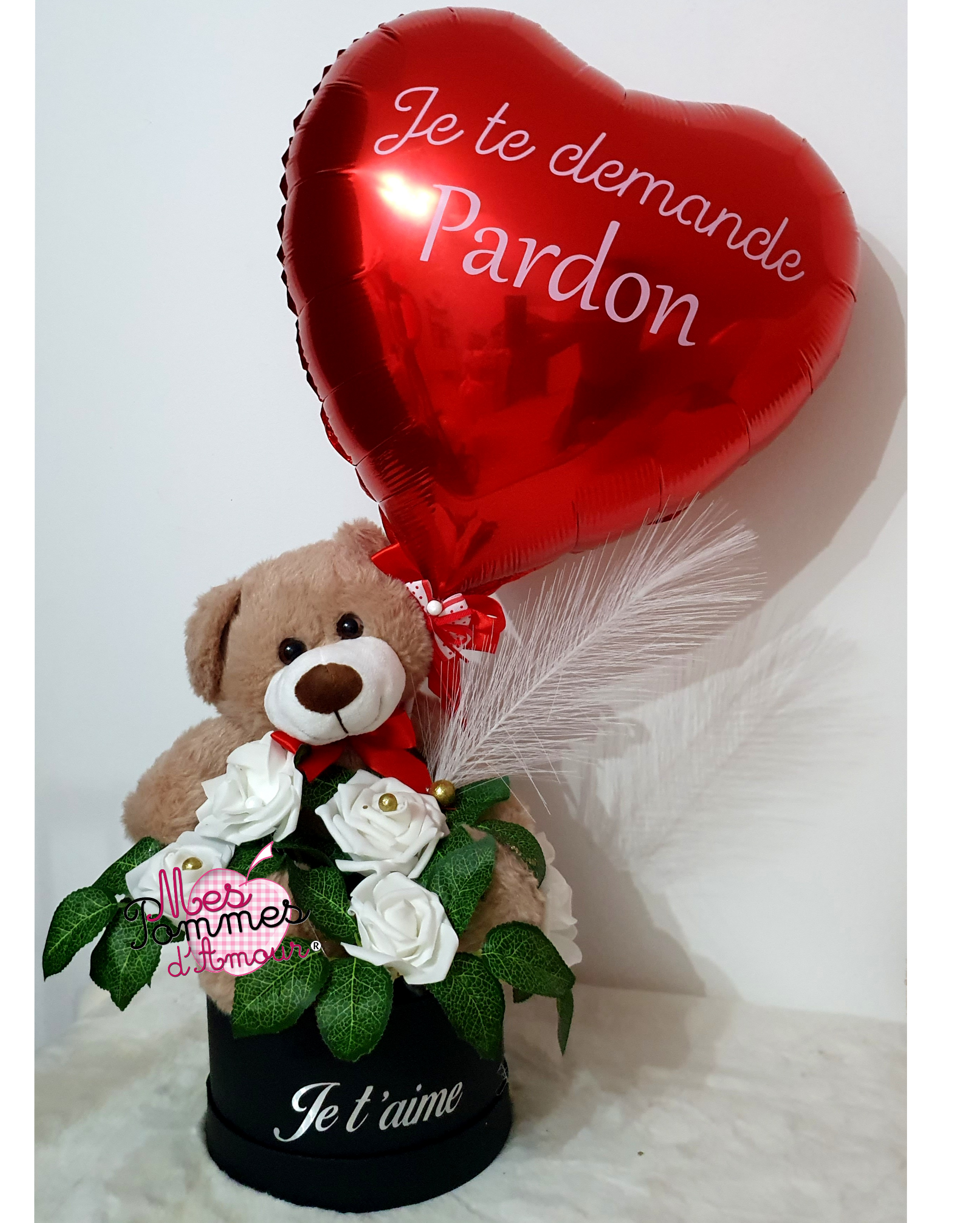 Ballon Demande de pardon