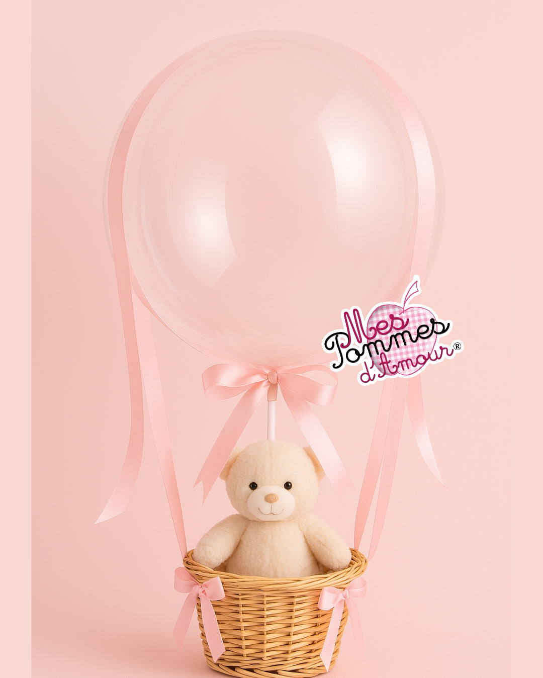 Formation ballon de la montgolfière avec peluche et ballon bobo