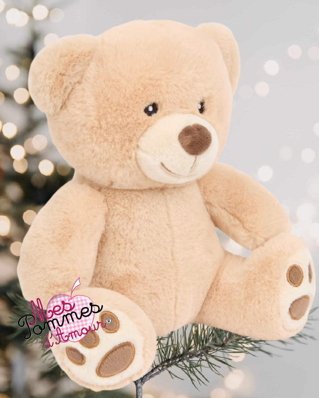 Ballon bulle peluche naissance anniversaire – Cadeau personnalisé