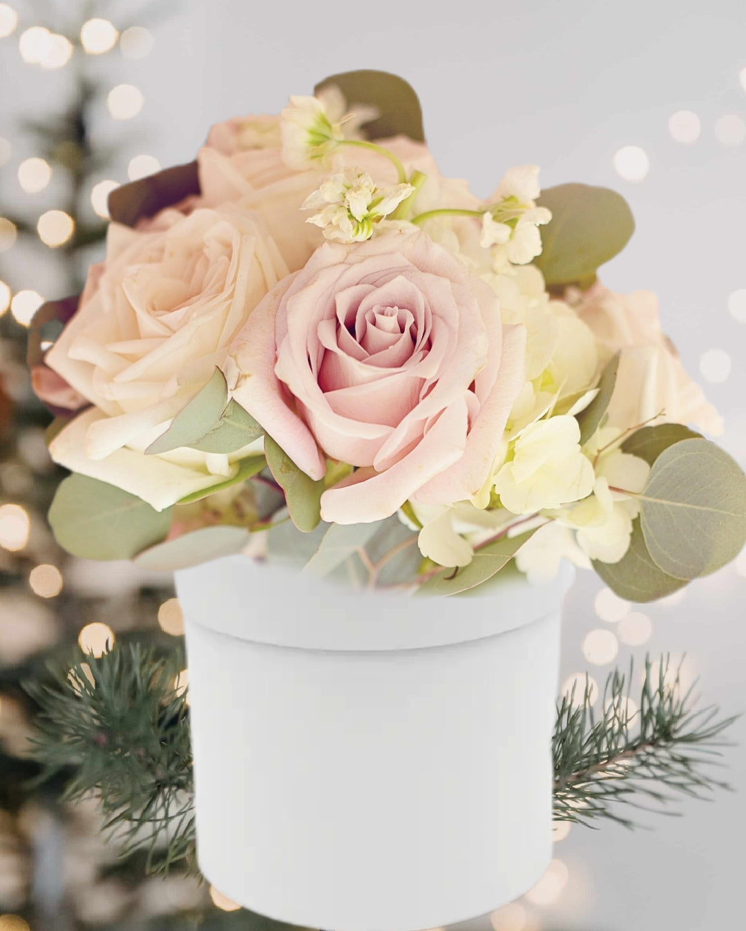 Boîte à couvercle élégante 3 coloris